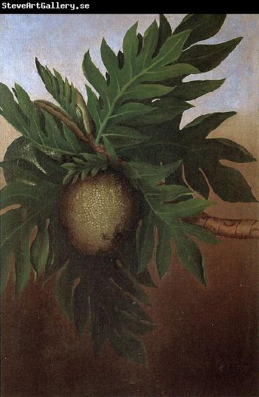 unknow artist Hawaiian Breadfruit, oil on canvas painting by Persis Goodale Thurston Taylor, c. 1890
